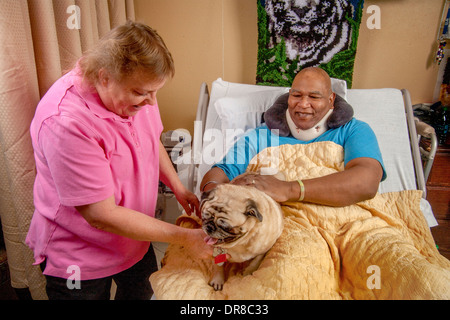 Freiwilliger senior Frau bringt ein Mops-Komfort, eine afroamerikanische Krankenhauspatient in Südkalifornien. MODEL-RELEASE Stockfoto