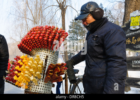 Straßenhändler verkaufen "Weißdorn" während der 30. Harbin internationale Eis- und Schneeskulpturen-Festival im Jahr 2014. China. Stockfoto