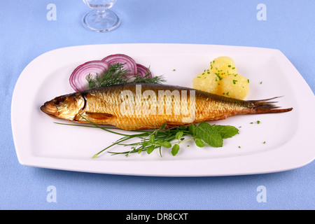 Bückling, geräucherten Hering auf einem weißen Teller garniert, Nahaufnahme Stockfoto