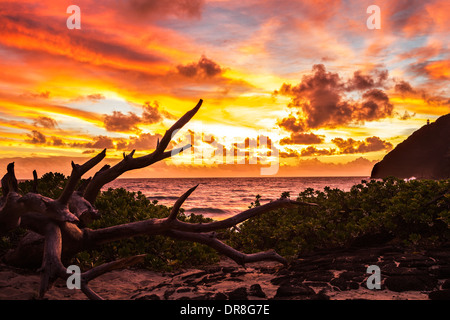 Wunderschönen Sonnenaufgang vom Makapuu Beach auf Oahu, Hawaii Stockfoto