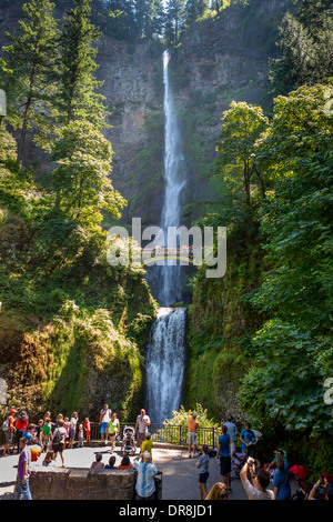 COLUMBIA RIVER GORGE, OREGON, USA - Touristen auf Brücke bei Multnomah Falls. Stockfoto