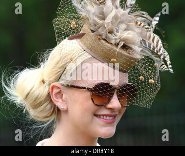 Royal Ascot Atmosphäre auf dem Ascot Racecourse - 5.Tag Berkshire, England - 23.06.12 mit: Atmosphäre wo: Berkshire, Vereinigtes Königreich bei: 23. Juni 2012 Stockfoto