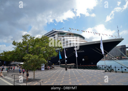 Cruise Liner Oosterdam, im Besitz von amerikanischen Linien Holland ankern in Circular Quay, Sydney Stockfoto