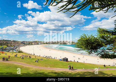 Bondi Beach-Blick in Sydney, Australien Stockfoto