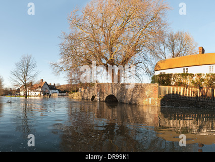 Elend für Hausbesitzer als Fluss überläuft Darent in die umgebende Landschaft am Eynesford schaffen neue Aue Straße gesperrt Stockfoto