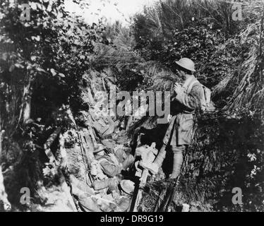 Argonne 1917 Stockfoto