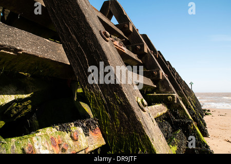 Nahaufnahme von einem hölzernen Wellenbrecher teils überdachte in Algen an einem Sandstrand. Stockfoto