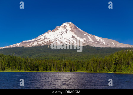 Regierung CAMP, OREGON, USA - Mount Hood und Trillium Lake. Stockfoto