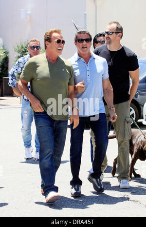 Arnold Schwarzenegger und Sylvester Stallone nach dem Mittagessen in Beverly Hills Beverly Hills, Kalifornien - 30.06.12 Stockfoto