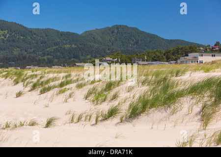 MANZANITA, OREGON, USA - Sanddünen und Rasen auf der Küste von Oregon. Stockfoto