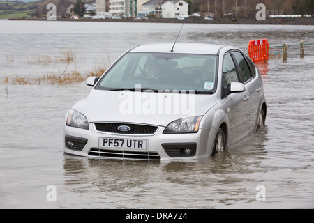 Eine Autofahrer fährt durch Hochwasser auf der Straße bei Storth an der Mündung der Kent in Cumbria, UK, während der Januar 2014 Stürme Stockfoto