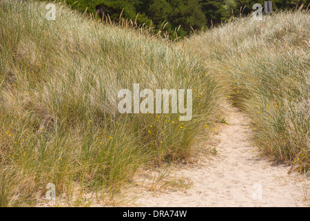 MANZANITA, OREGON, USA - Sanddünen und Rasen auf der Küste von Oregon. Stockfoto