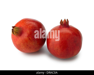 Granatapfel Stockfoto