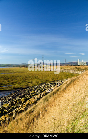 Newport Wetland Reserve, Gwent Ebenen, Newport, South Wales. Stockfoto