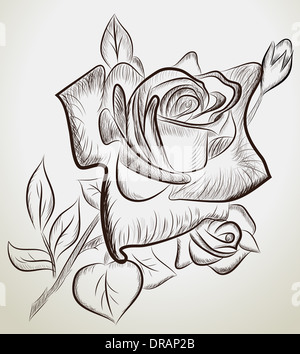 Vektor-Illustration von hand gezeichnete Rosen Stockfoto