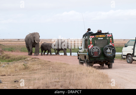 Elefantenfamilie Fuß Straße in Richtung Toyota Landcruiser in Amboseli National Park Kenia in Ostafrika Stockfoto