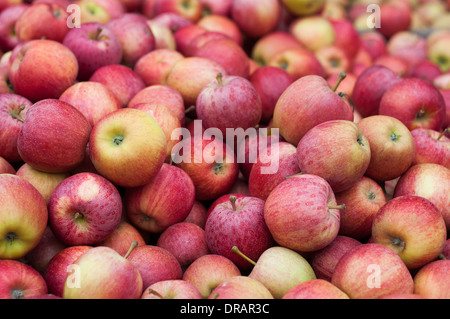 Stall mit Hunderten von roten Äpfeln gefüllt Stockfoto