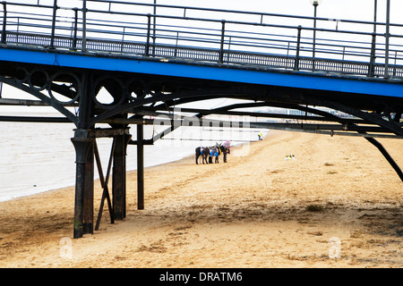 Esel Spaziergänge am Strand Sand Küste Fahrten Fahrt unter Pier in Cleethorpes, Lincolnshire Küste, UK, England Stockfoto