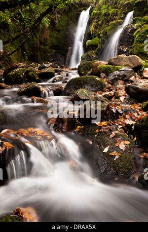 Die Twin Falls am Venford Bach Stockfoto