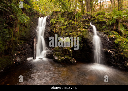 Eine gerade im Blick auf die Wasserfälle auf der Venford Bach auf Dartmoor. Stockfoto