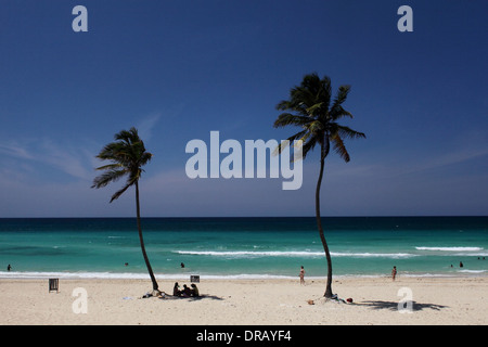 Palmen und Touristen am Strand Playa del Este Havanna-Foto: Pixstory / Alamy Stockfoto