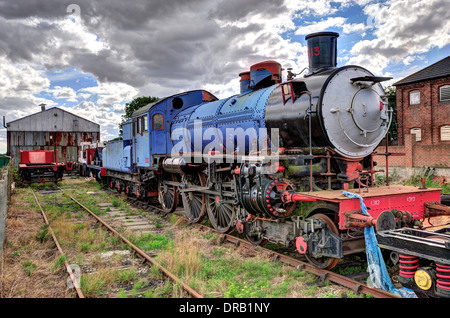 Dampfzüge Stockfoto