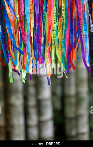 Bunte brasilianischen Karneval Lembranca wünschen Bänder Dschungel Hintergrund Bambus Wald Stockfoto