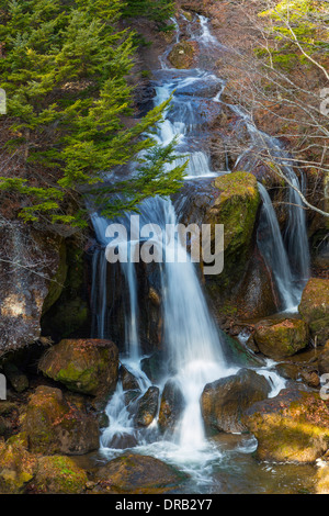 Ryuto Wasserfall in Nikko, Japan Stockfoto