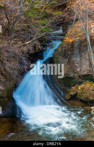 Ryuto Wasserfall in Nikko, Japan Stockfoto