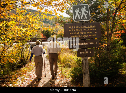 Zwei Wanderer Wanderweg der Glen Ellis fällt in den White Mountains in New Hampshire. Stockfoto