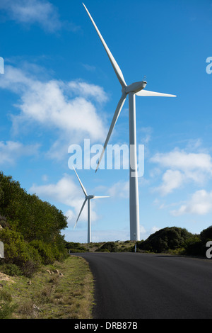 Wind Stromerzeuger am Cape Bridgewater, Victoria, Australien Stockfoto