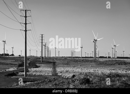 Wind Stromerzeuger in Macurthur, Victoria, Australien, der größte Windpark auf der Südhalbkugel ab 2014 Stockfoto