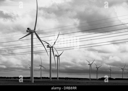 Wind Stromerzeuger in Macurthur, Victoria, Australien, der größte Windpark auf der Südhalbkugel ab 2014 Stockfoto