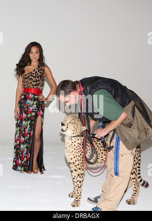 Myleene Klass posiert mit einem Gepard, wie sie als das neue Gesicht von Littlewoods - Fototermin London, England - 09.07.12 unterschreibt Stockfoto