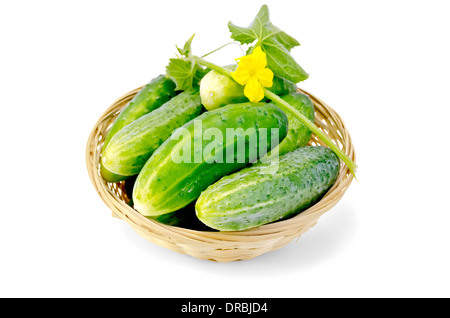 Gurken mit gelben Blüten und Blätter in einem Weidenkorb isoliert auf weißem Hintergrund Stockfoto