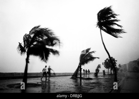 Palmen wiegen sich im Wind Monsun, Marine Drive, Mumbai, Maharashtra, Indien, 1989 Stockfoto