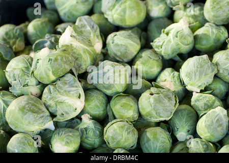 Rosenkohl-Hintergrund Stockfoto