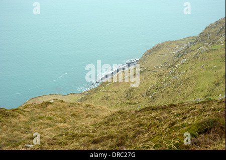 Alten Felder, Schafskopf Stockfoto