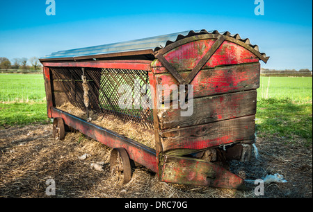 Rustikale alte hölzerne Heu Feeder für Rinder in einem Feld. Stockfoto