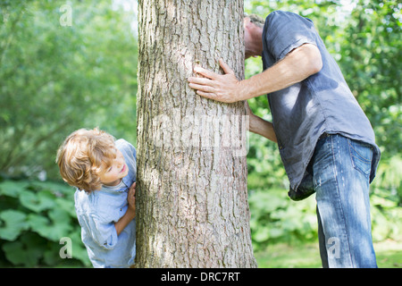 Vater und Sohn spähen um Baum Stockfoto