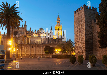 Kathedrale und königliche Alcazar, Sevilla, Andalusien, Spanien, Europa und Umgebung: Stockfoto