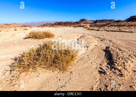 Timna-Nationalpark in Israel Stockfoto