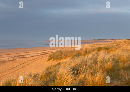 Alten Hunstanton Strand und Dünen im warmen Abendlicht, North Norfolk Stockfoto