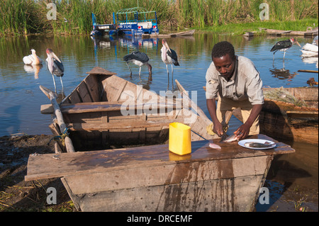 Fischer schneiden Fisch, Awassa, Äthiopien Stockfoto