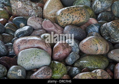 Nahaufnahme der nassen Felsen Stockfoto