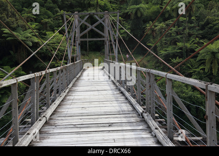 Tauranga Brücke, Waioeka Gorge Scenic Reserve und Fluss, State Highway 2, East Cape Area, Nordinsel, Neuseeland Stockfoto