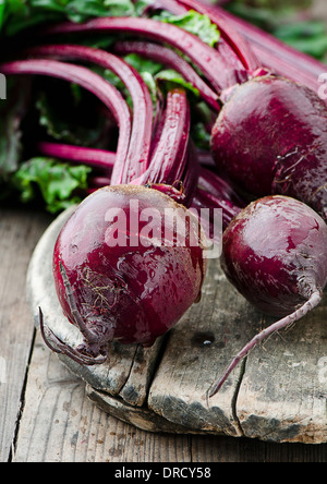 Frisch geerntete Menge rote Beete Stockfoto