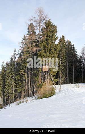 Tierbeobachtung zeigen, Jagd-Turm auf der Tanne, Winter und Schnee Stockfoto