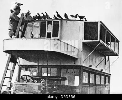 Französische Taube Kommunikation WWI Stockfoto