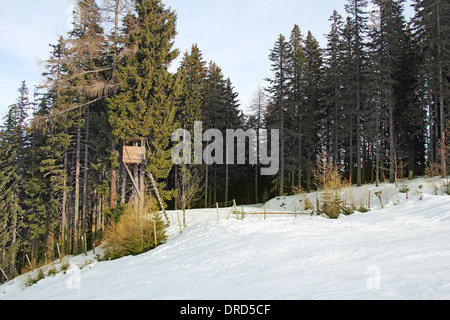 Tierbeobachtung zeigen, Jagd-Turm auf der Tanne, Winter und Schnee Stockfoto